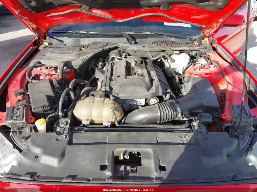 2019 Ford Mustang Ecoboost VIN: 1FA6P8TH4K5178253 Lot: 43960853