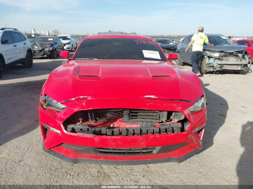 2019 Ford Mustang Ecoboost VIN: 1FA6P8TH4K5178253 Lot: 43960853