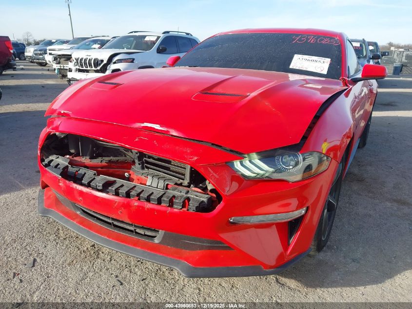 2019 Ford Mustang Ecoboost VIN: 1FA6P8TH4K5178253 Lot: 43960853