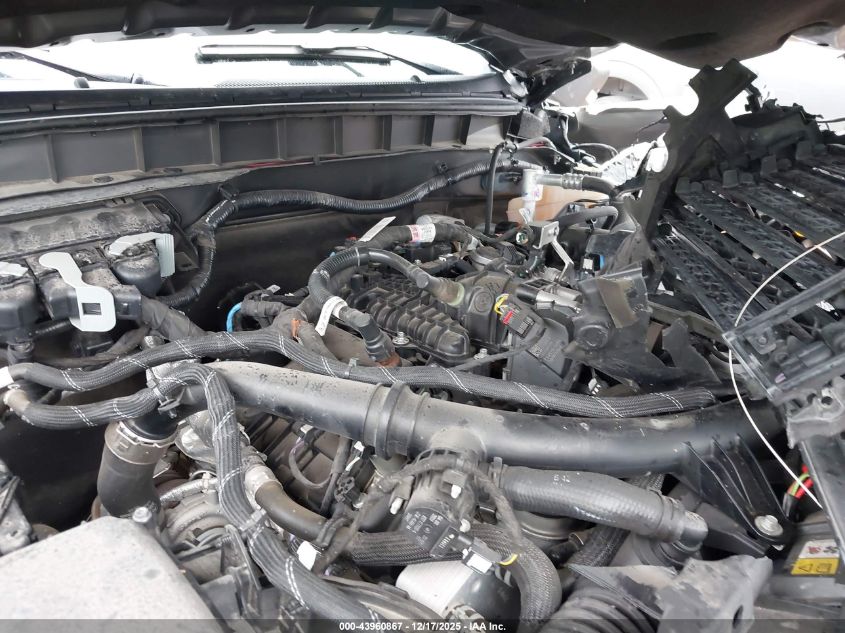 2023 Ford Bronco Badlands VIN: 1FMEE5DP1PLB66284 Lot: 43960867