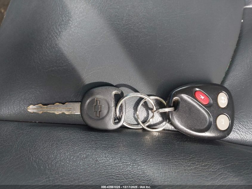 2003 Chevrolet Silverado 1500 Ls VIN: 1GCEK19T43E294593 Lot: 43961025