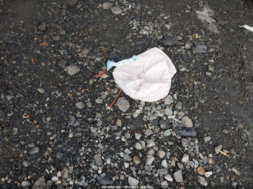 2019 Honda Cr-V Ex VIN: 7FARW2H56KE060651 Lot: 43961262