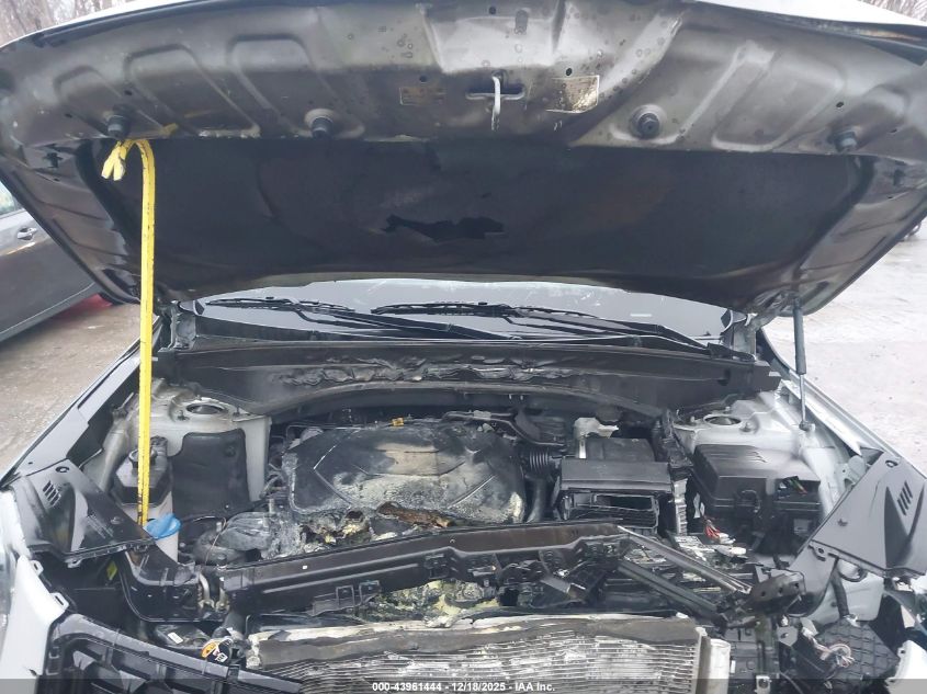 2023 Kia Telluride Ex X-Line VIN: 5XYP3DGC7PG393402 Lot: 43961444