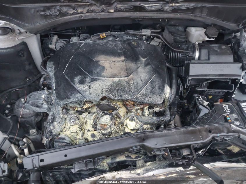 2023 Kia Telluride Ex X-Line VIN: 5XYP3DGC7PG393402 Lot: 43961444