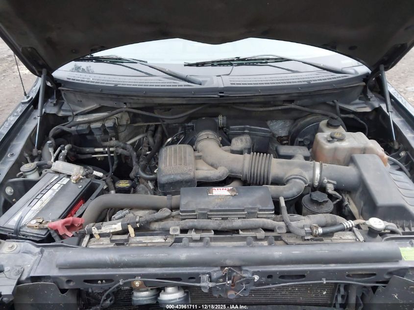 2009 Ford F-150 Fx4/King Ranch/Lariat/Platinum/Xl/Xlt VIN: 1FTPW14V89FB19532 Lot: 43961711