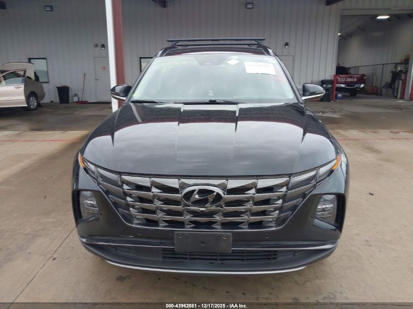 2023 Hyundai Tucson Limited VIN: 5NMJECAE1PH288025 Lot: 43962081