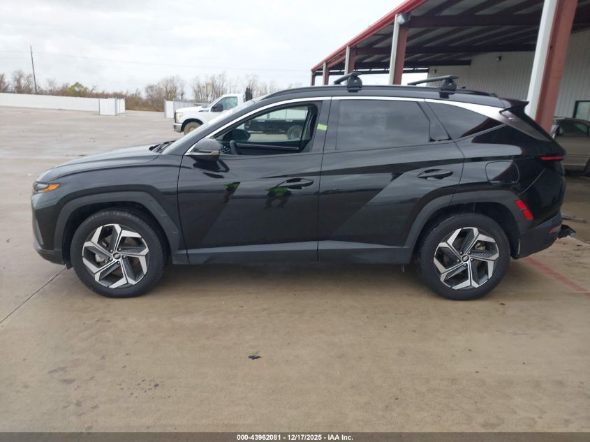 2023 Hyundai Tucson Limited VIN: 5NMJECAE1PH288025 Lot: 43962081