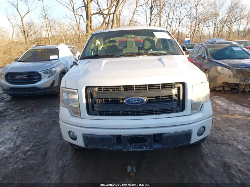 2013 Ford F-150 Stx VIN: 1FTFX1EF5DFC91736 Lot: 43962179