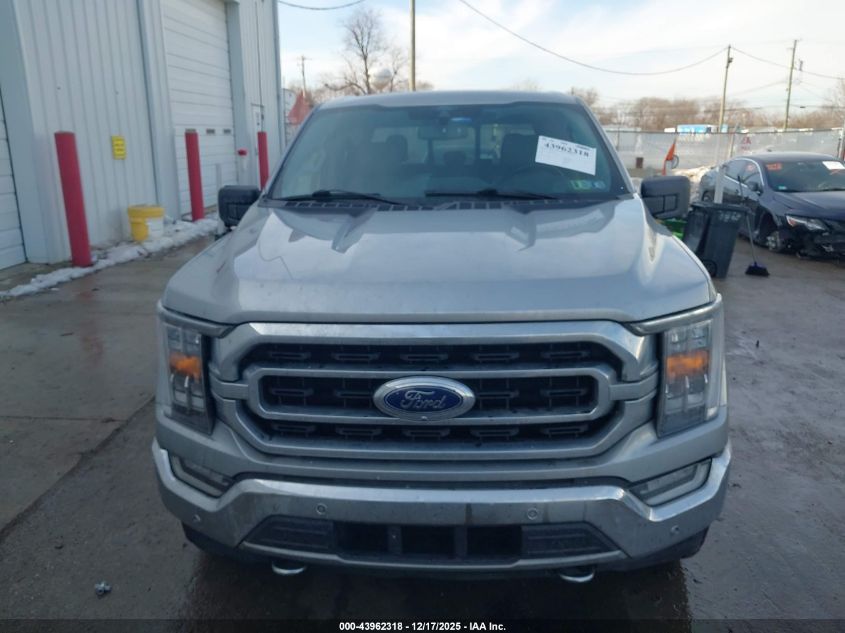 2021 Ford F-150 Xlt VIN: 1FTFW1E81MFB38064 Lot: 43962318