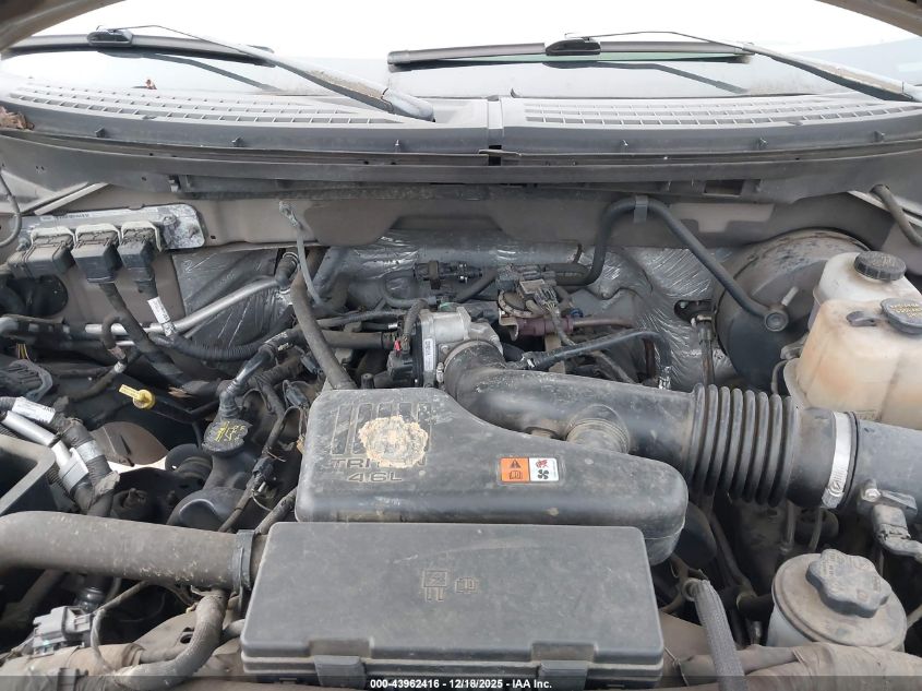 2009 Ford F-150 Stx/Xl/Xlt VIN: 1FTRF12W29KC91051 Lot: 43962416