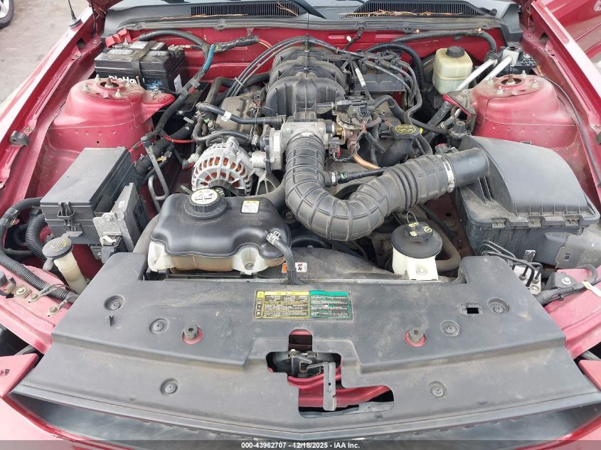 2006 Ford Mustang V6 VIN: 1ZVFT84N065166288 Lot: 43962707