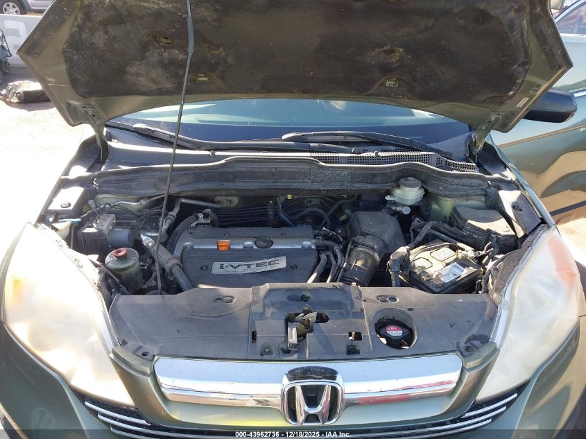 2007 Honda Cr-V Ex VIN: JHLRE38507C009593 Lot: 43962736