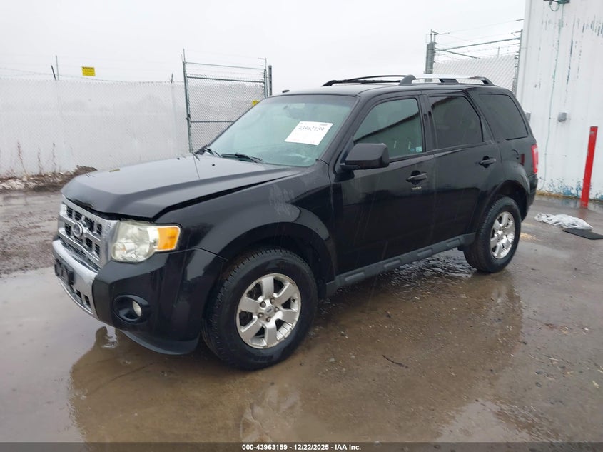 2011 Ford Escape Limited