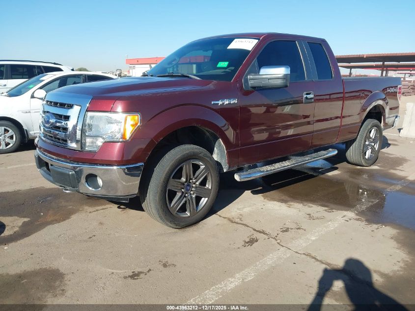 2009 Ford F-150 Fx4/Lariat/Xl/Xlt VIN: 1FTPX14V69FA08796 Lot: 43963212
