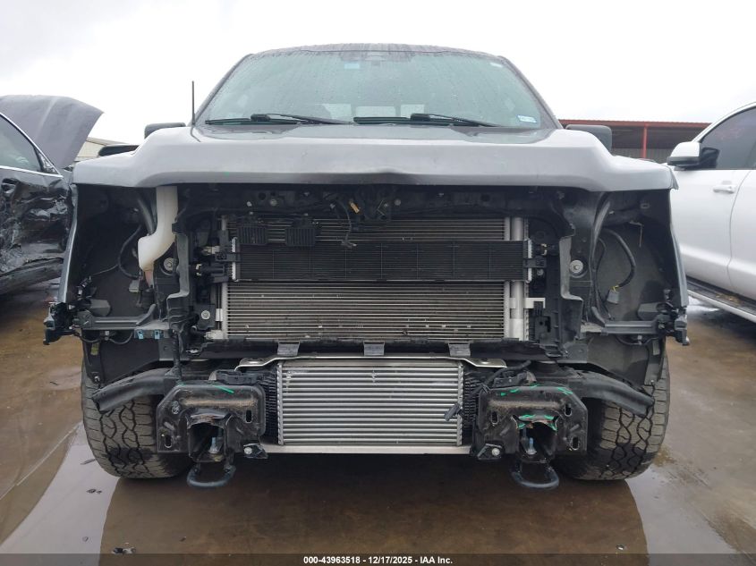 2024 Ford F-150 Xlt VIN: 1FTFW3LD7RFA08731 Lot: 43963518