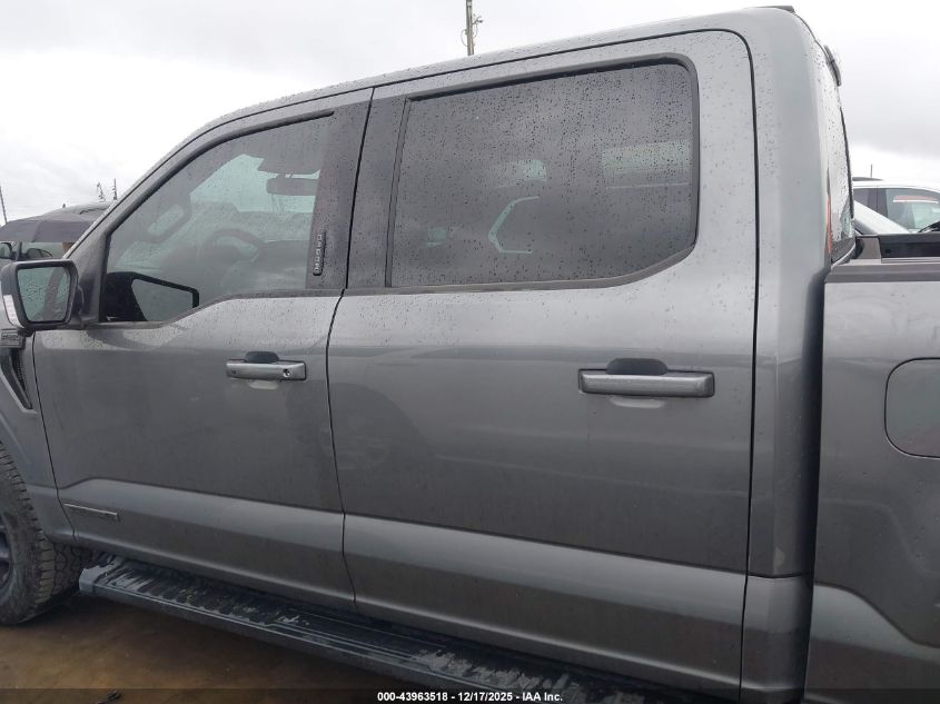 2024 Ford F-150 Xlt VIN: 1FTFW3LD7RFA08731 Lot: 43963518