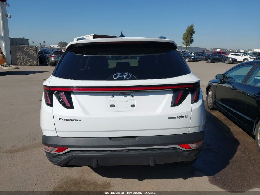2023 Hyundai Tucson Hybrid Sel Convenience VIN: KM8JFCA1XPU106269 Lot: 43963533