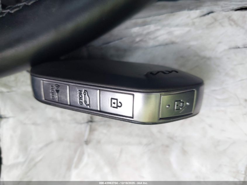 2023 Kia Telluride Ex X-Line VIN: 5XYP3DGC6PG375909 Lot: 43963704