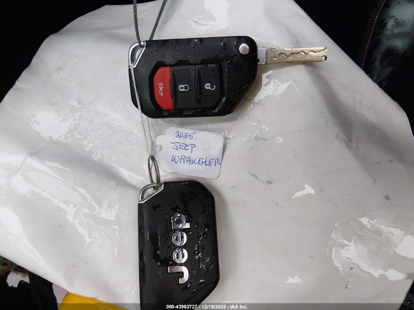 2025 Jeep Wrangler 4-Door Rubicon 4X4 VIN: 1C4PJXFG9SW543677 Lot: 43963727