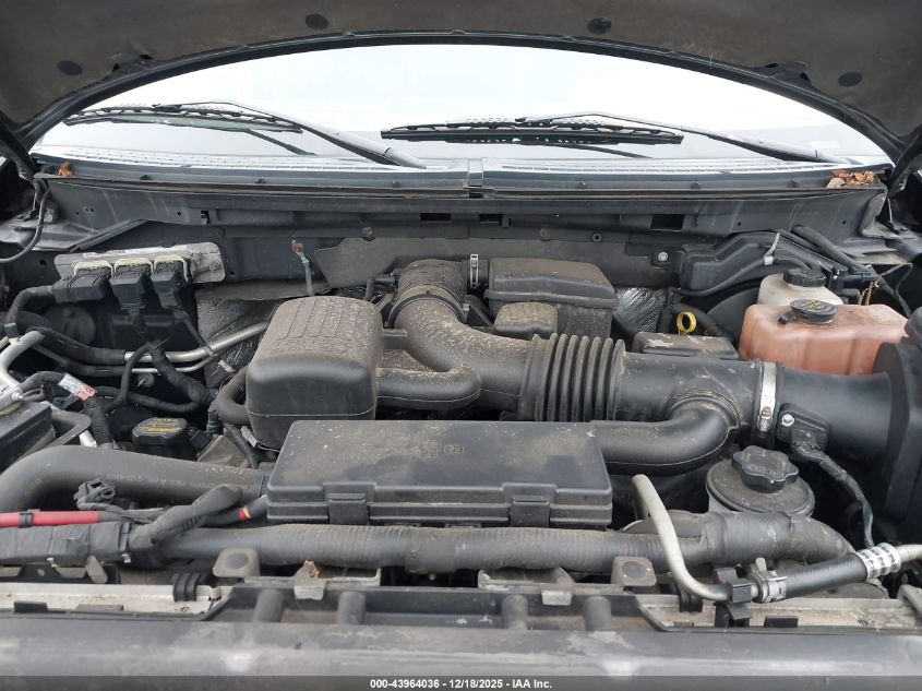 2010 Ford F-150 Fx4/Harley-Davidson/King Ranch/Lariat/Platinum/Xl/Xlt VIN: 1FTFW1EV1AKE78372 Lot: 43964036