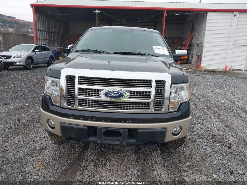 2010 Ford F-150 Fx4/Harley-Davidson/King Ranch/Lariat/Platinum/Xl/Xlt VIN: 1FTFW1EV1AKE78372 Lot: 43964036