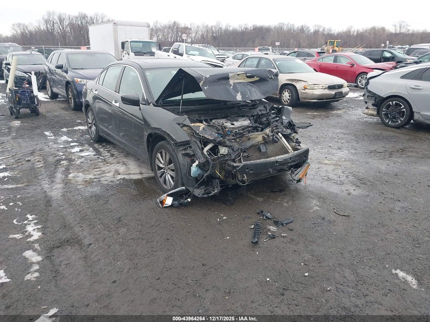 HONDA ACCORD 3.5 EX-L