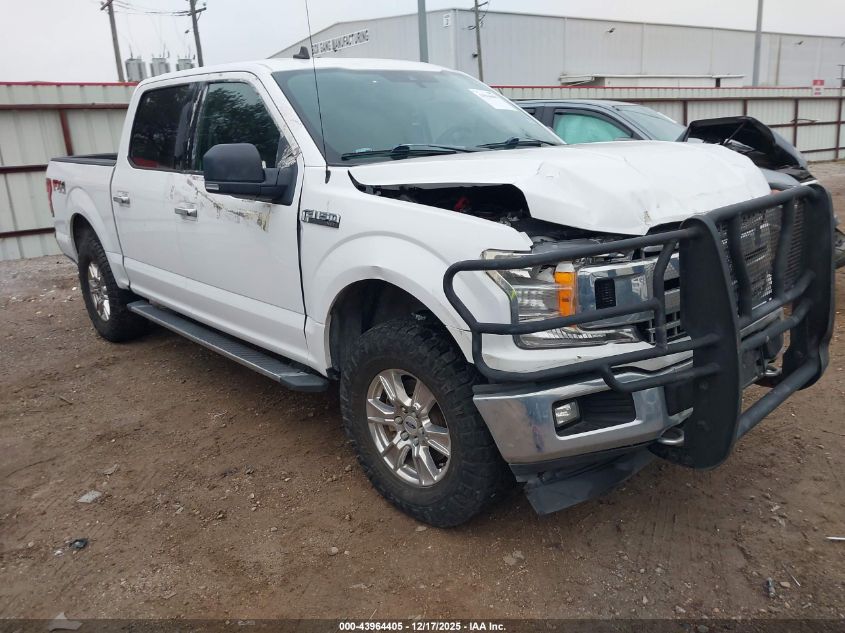 2019 Ford F-150 Xlt VIN: 1FTEW1E53KKE60176 Lot: 43964405