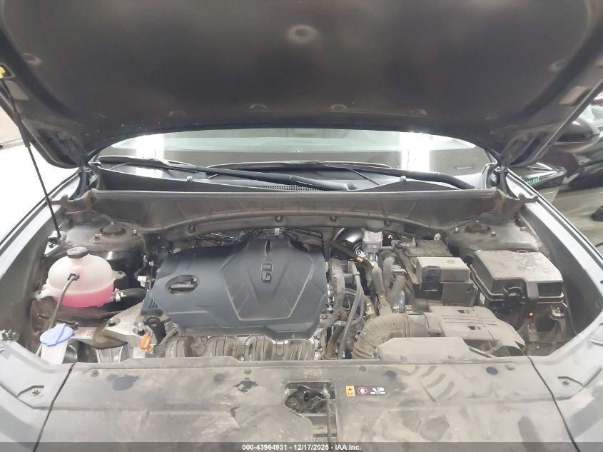 2024 Hyundai Tucson Sel VIN: 5NMJB3DE3RH391874 Lot: 43964931