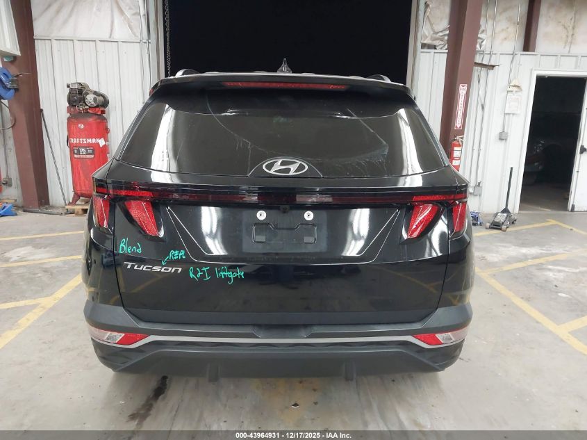 2024 Hyundai Tucson Sel VIN: 5NMJB3DE3RH391874 Lot: 43964931