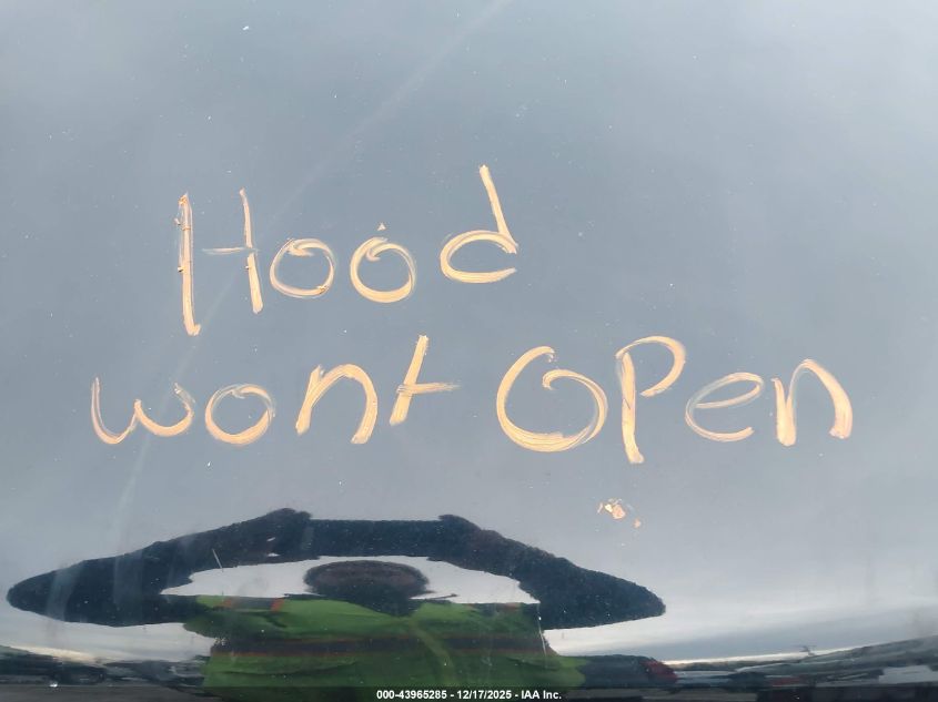 1999 Ford Explorer Xl/Xlt VIN: 1FMZU34X0XZA55795 Lot: 43965285