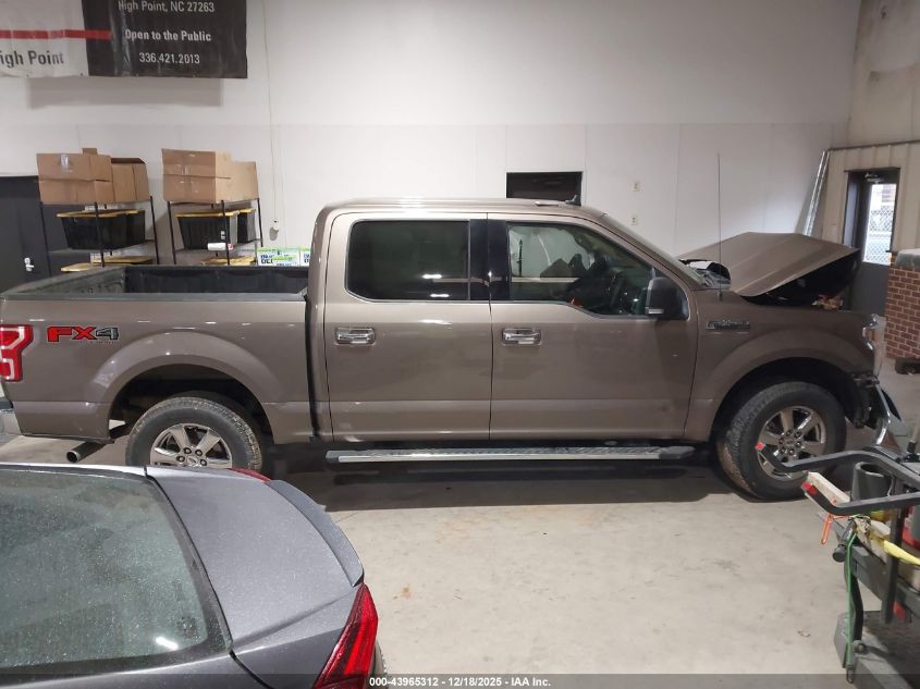 2019 Ford F-150 Xlt VIN: 1FTEW1E53KKC02420 Lot: 43965312