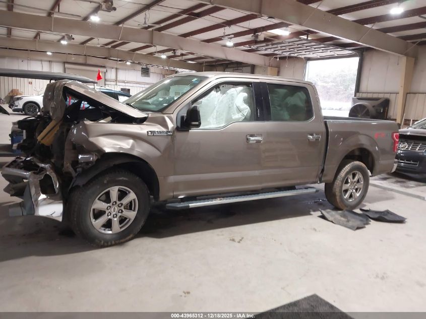 2019 Ford F-150 Xlt VIN: 1FTEW1E53KKC02420 Lot: 43965312