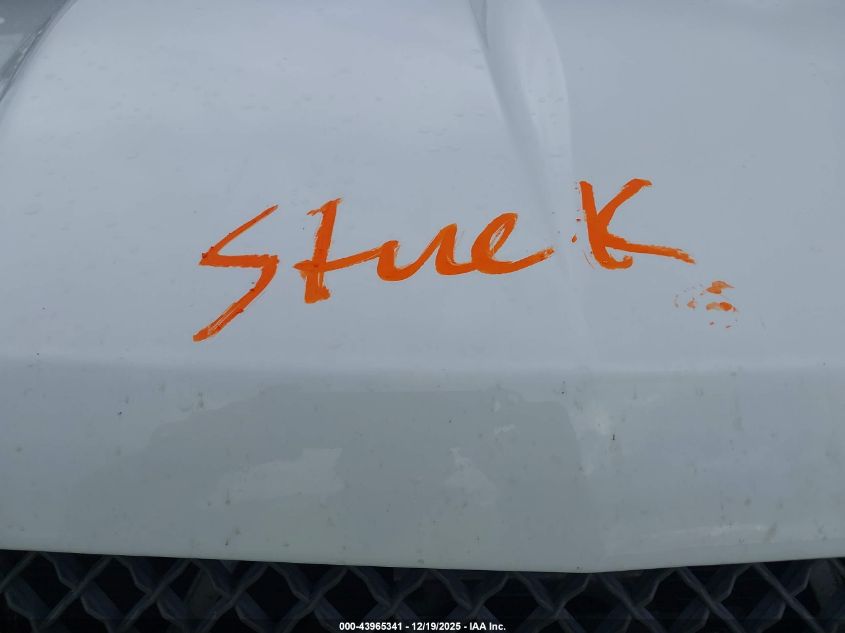 2004 Chevrolet Silverado 1500 Z71 VIN: 2GCEK19T241289301 Lot: 43965341