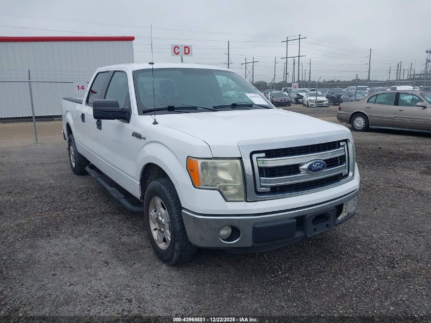 2014 Ford F-150 Xlt VIN: 1FTFW1CF8EKF73691 Lot: 43965501