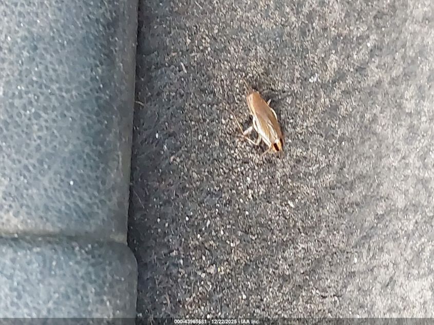 2019 Buick Enclave Fwd Essence VIN: 5GAERBKW2KJ241193 Lot: 43965581