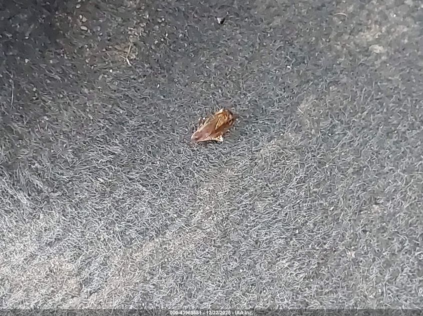 2019 Buick Enclave Fwd Essence VIN: 5GAERBKW2KJ241193 Lot: 43965581