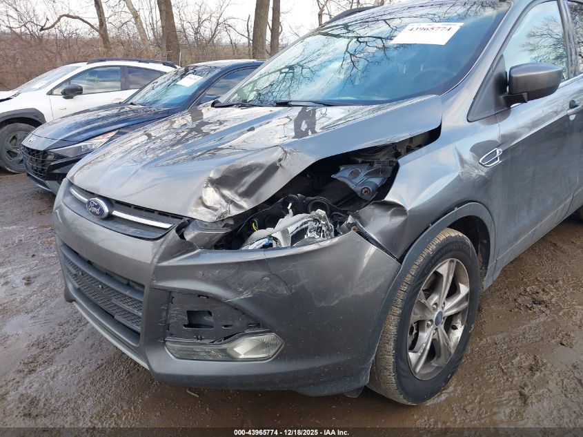 2014 Ford Escape Se VIN: 1FMCU9GX0EUC87568 Lot: 43965774