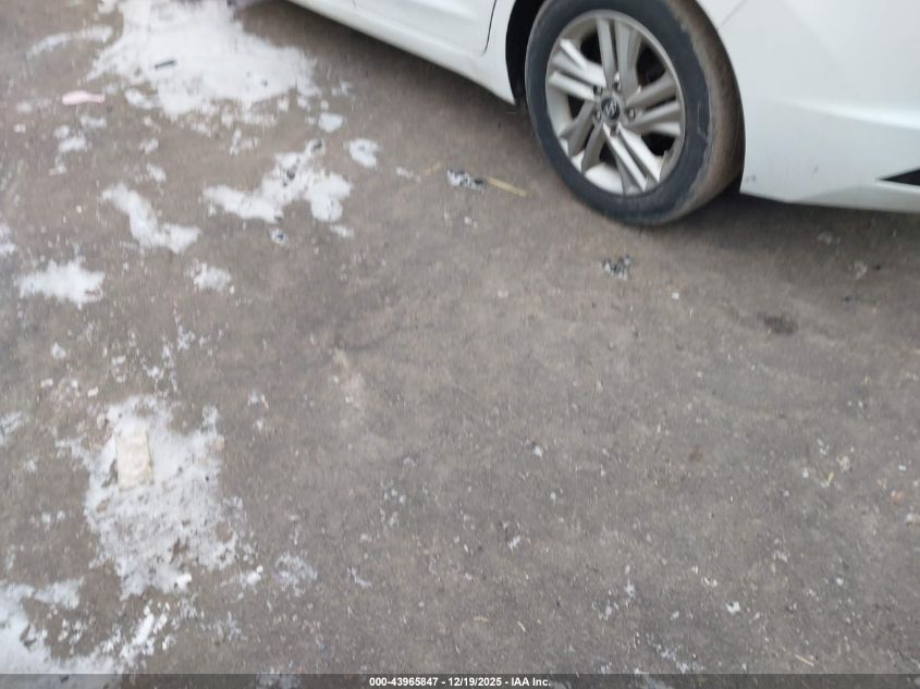 2019 Hyundai Elantra Sel VIN: 5NPD84LF3KH470465 Lot: 43965847