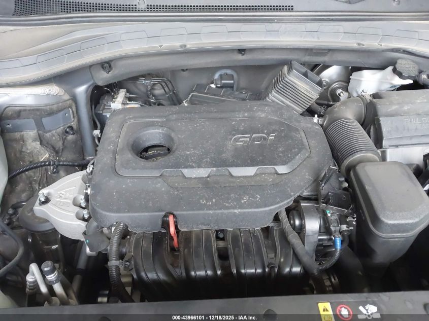 2020 Hyundai Santa Fe Limited VIN: 5NMS53AD0LH161983 Lot: 43966101