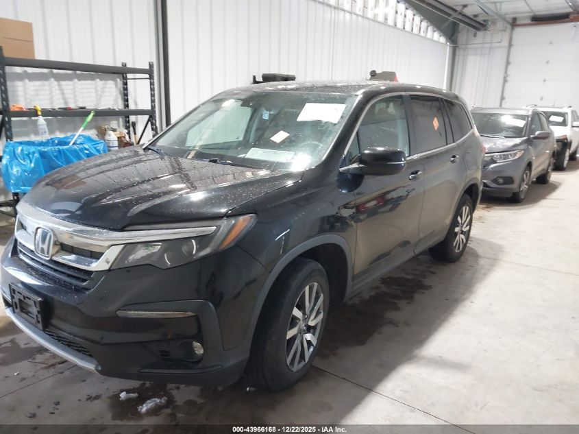 2019 Honda Pilot Ex-L VIN: 5FNYF6H54KB098359 Lot: 43966168