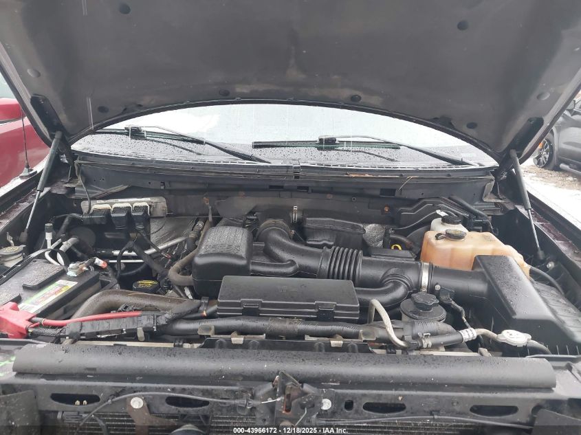 2010 Ford F-150 Fx4/Harley-Davidson/King Ranch/Lariat/Platinum/Xl/Xlt VIN: 1FTFW1EVXAFD25840 Lot: 43966172