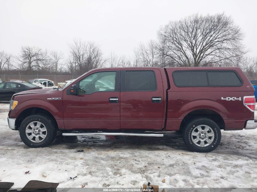 2010 Ford F-150 Fx4/Harley-Davidson/King Ranch/Lariat/Platinum/Xl/Xlt VIN: 1FTFW1EVXAFD25840 Lot: 43966172