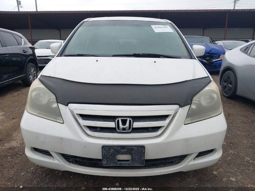 2007 Honda Odyssey Ex VIN: 5FNRL38417B116925 Lot: 43966306