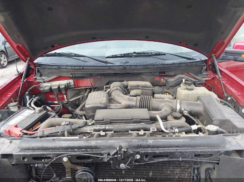 2010 Ford F-150 Fx4/Lariat/Xl/Xlt VIN: 1FTFX1EV8AFC06567 Lot: 43966546