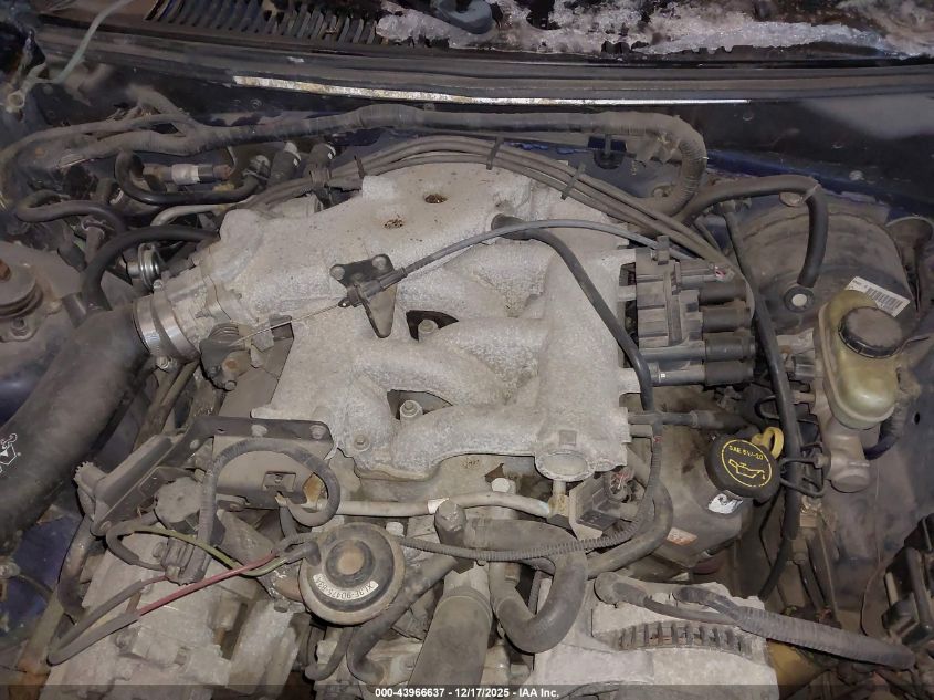 2004 Ford Mustang VIN: 1FAFP40674F141447 Lot: 43966637