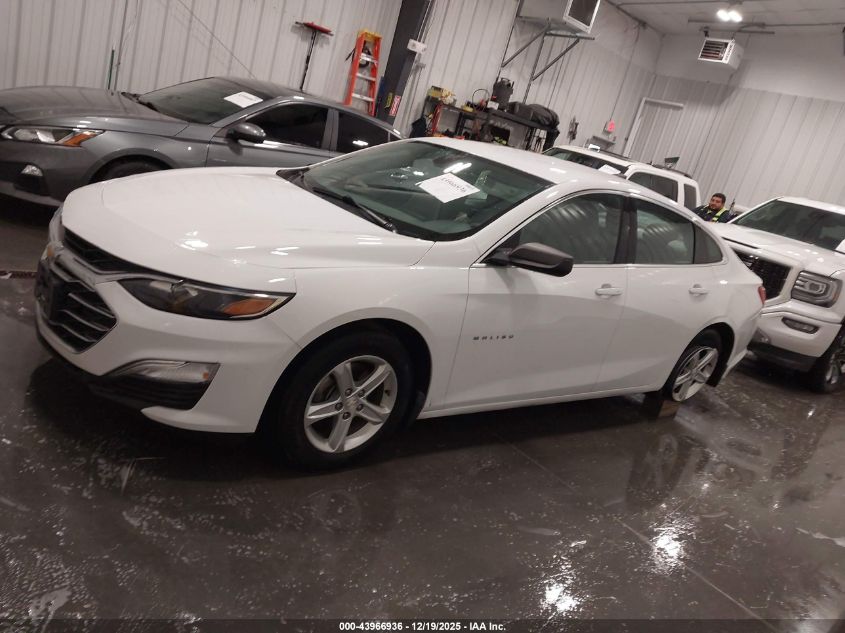 2019 Chevrolet Malibu 1Ls VIN: 1G1ZB5ST1KF184282 Lot: 43966936