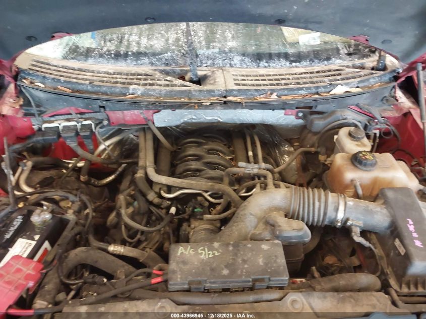 2013 Ford F-150 Xlt VIN: 1FTFW1EF2DKE36306 Lot: 43966945