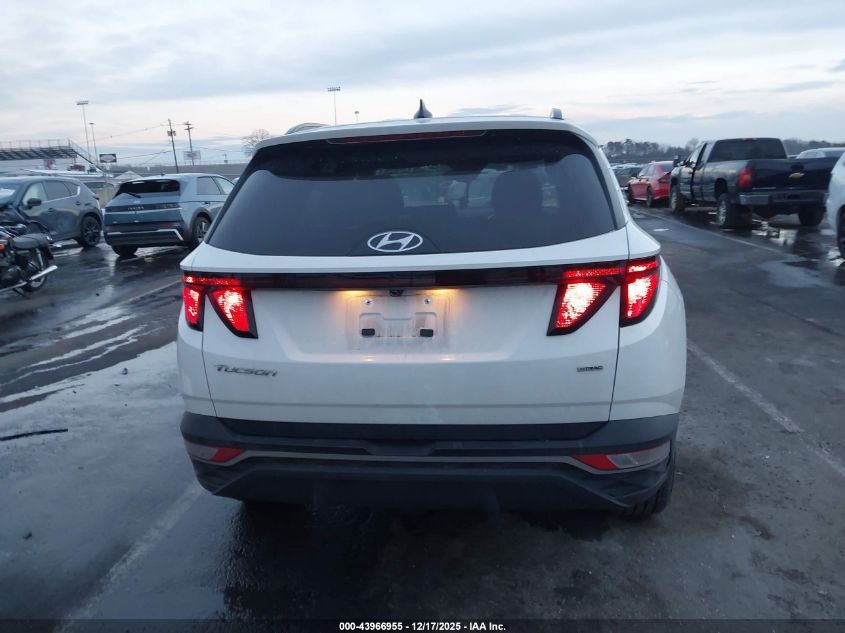 2024 Hyundai Tucson Sel VIN: 5NMJBCDE5RH427175 Lot: 43966955