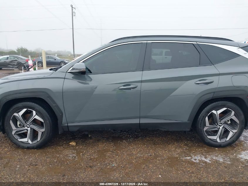 2024 Hyundai Tucson Limited VIN: 5NMJE3DE2RH304361 Lot: 43967229
