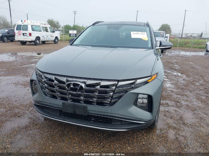 2024 Hyundai Tucson Limited VIN: 5NMJE3DE2RH304361 Lot: 43967229